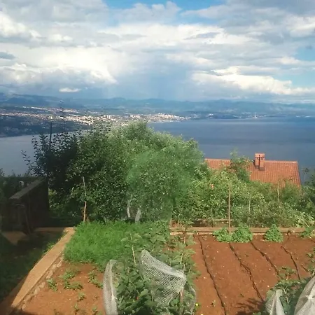 Pansion Rogovic 3*